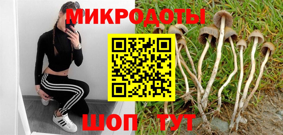 Псилоцибиновые грибы мухоморы  Галлюциногенные грибы MAGIC MUSHROOMS  Вход с VPN  Энгельс 